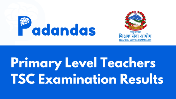 image teacher service commission notice